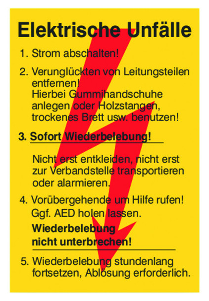 PSAHEU Sicherheitsaushang Erste Hilfe