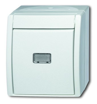 2621 WGL-53 Taster/Schließer beleuchtet