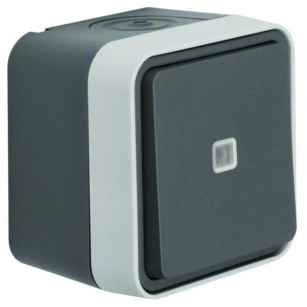 31763505 Kontroll-Wechselschalter AP gr