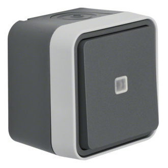 30763525 Wechselschalter beleuchtet AP