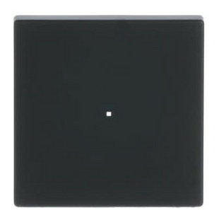 Busch-Jaeger BUSCH 6230-10-885 Wippe 1-fach