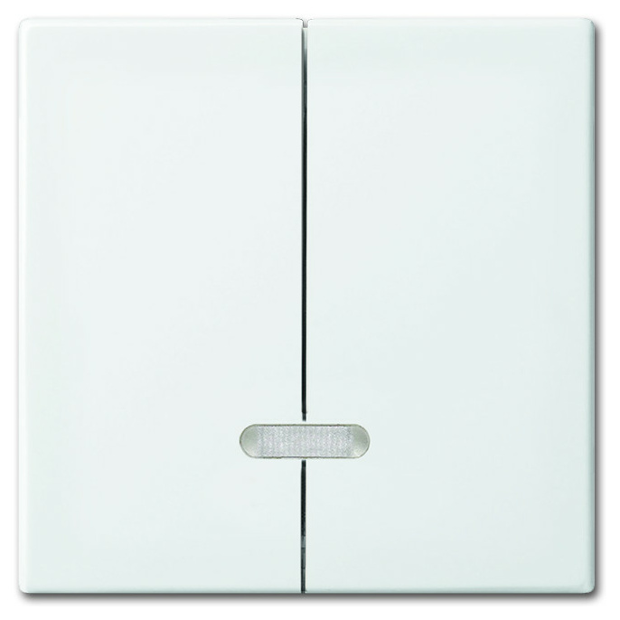 Busch-Jaeger BUSCH 6545-914 B-Elemet Dim-Eins. 2-f