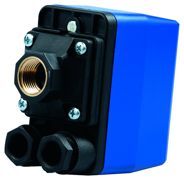 DSP 10-3NC1/2 Druckschalter