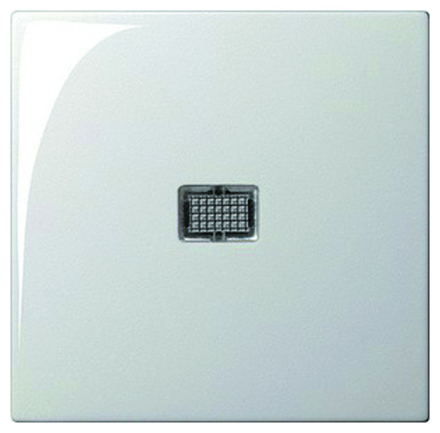 012827 WECHSEL/WECHSELSCHALTER REINWEISS