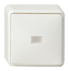 011613 AUS-KONTR.-WECHSELSCHALTER AP RW