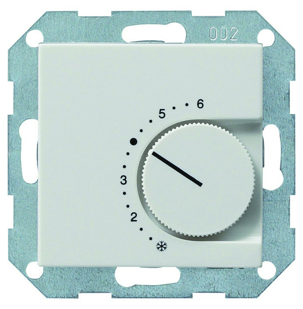 039603 Raumthermostat Wechsler RG