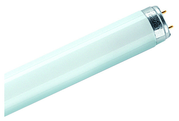 L 18W/954 Leuchtstofflampe 18W Daylight