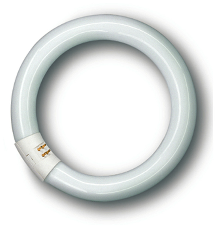 L 22W/840 C Ring-Leuchtstofflampe wei¯