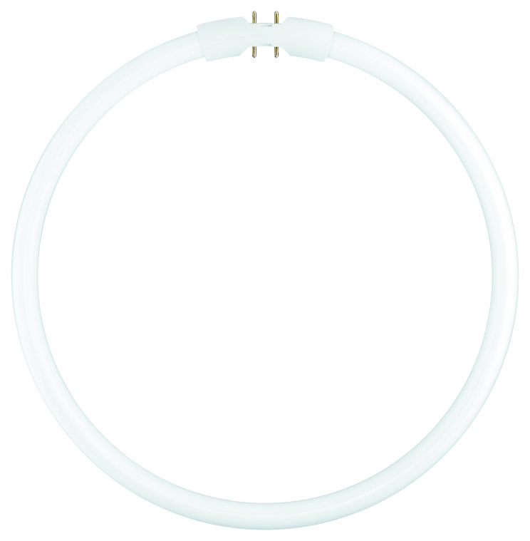 FC 40W/865 Ringform 40W Daylight