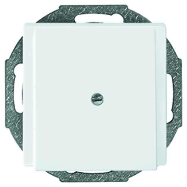 295660 Zentralplatte Leitungsauslaß