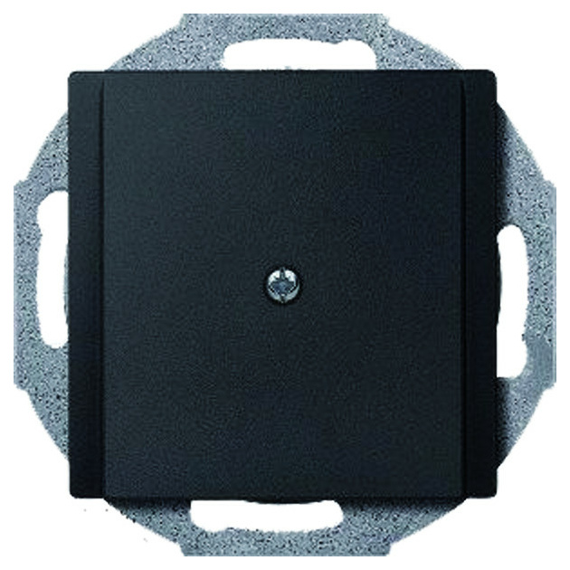 295614 Zentralplatte Leitungsauslaß