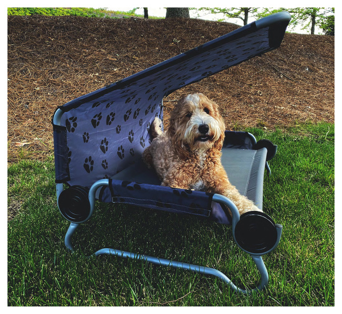 Disc-O-Bed Hundebett DOG BED Small