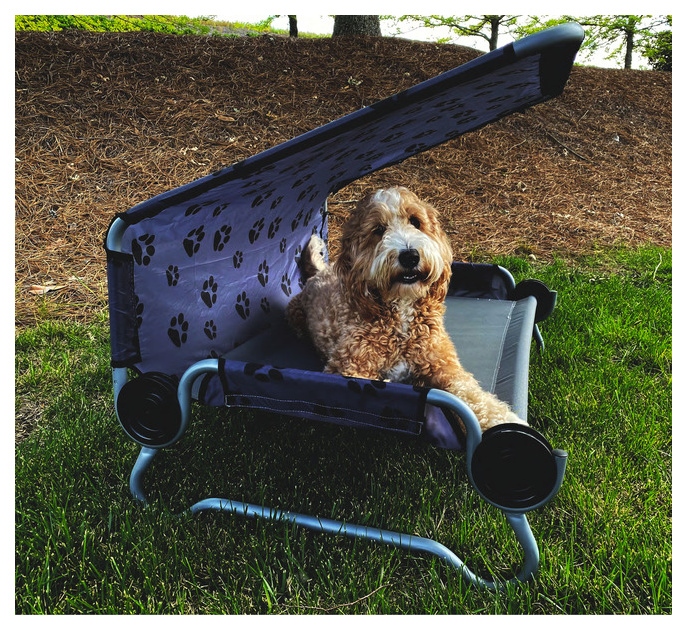 Disc-O-Bed Hundebett DOG BED Large