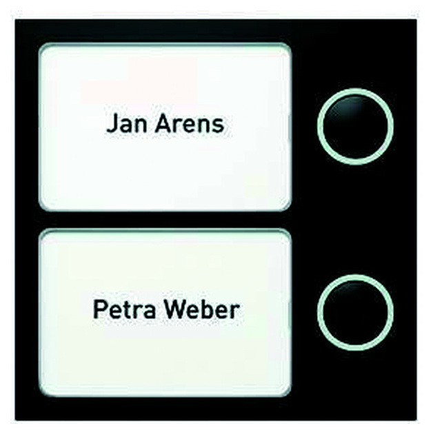 18752/50 Tastenmodul 2Tasten graubraun