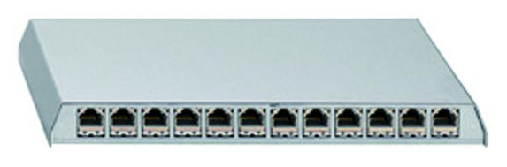 PP-Cat.6A ISO-12 AP Patchpanel 12Port