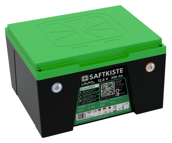 Saftkiste 300 LiFePO4-Akku 300 Ah mit DualBMS