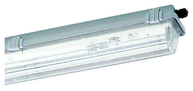 nD162258EVG Ex-Leuchte 2x58W EVG