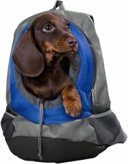 Camping mit Hund - das passende Hundezubehör Camping mit Hund - das passende Hundezubehör